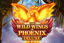 The Wild Wings of Phoenix...
