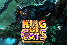 King of Cats