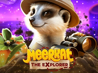 Meerkat The Explorer