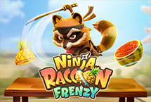 Ninja Raccoon Frenzy