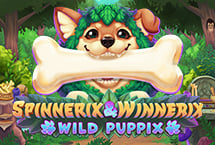 Spinnerix & Winnerix: Wil...