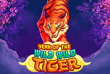 Year Of The Wild Wild Tig...